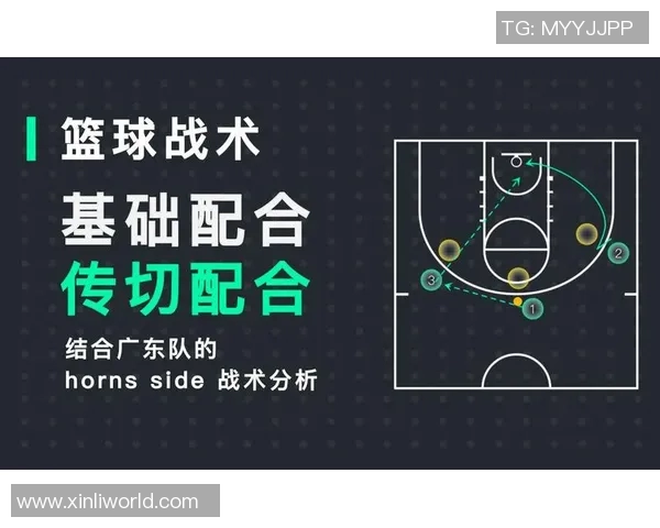 重庆篮球队战术创新引领潮流助力球队实力大幅提升