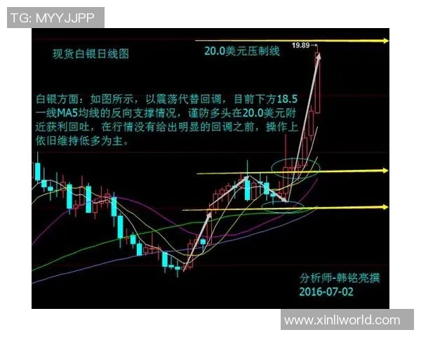 广州篮球队速度对比独家解析探讨球队战术与运动员表现的关系